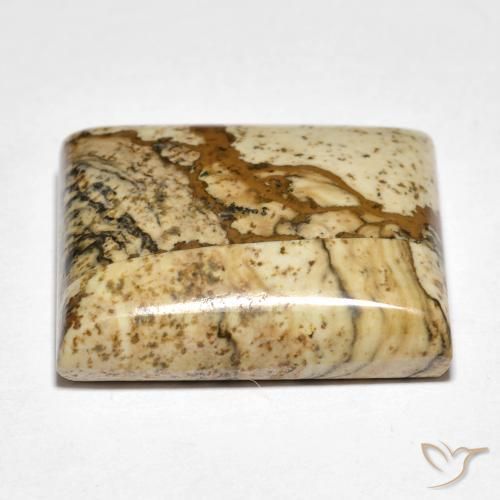 Jasper Gemstone in 18.6 x 16.6 mm Size for Sale, Jasper Stone in Multicolor Color