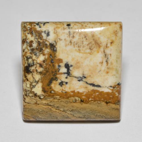 27.66 ct Multicolor Jasper Gemstone, Jasper Gem in Square Cabochon Shape for Sale.