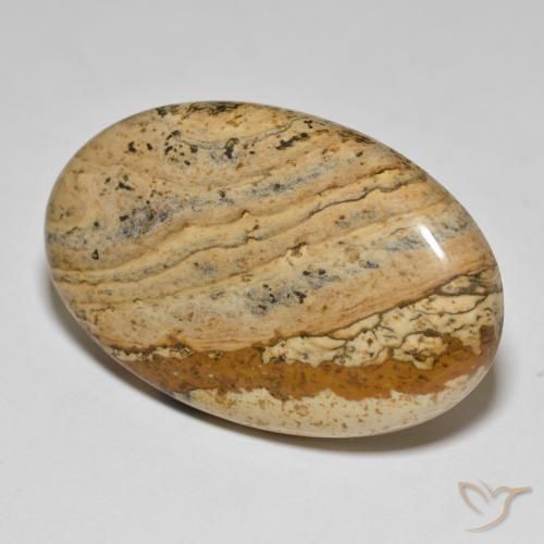 50.96 ct Multicolor Jasper Stone, Natural Jasper in Oval Cabochon Shape for Sale