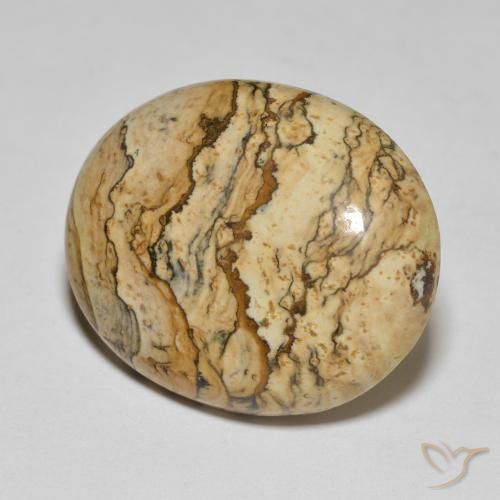 25.04 ct Multicolor Jasper Stone, Natural Jasper in Oval Cabochon Shape for Sale