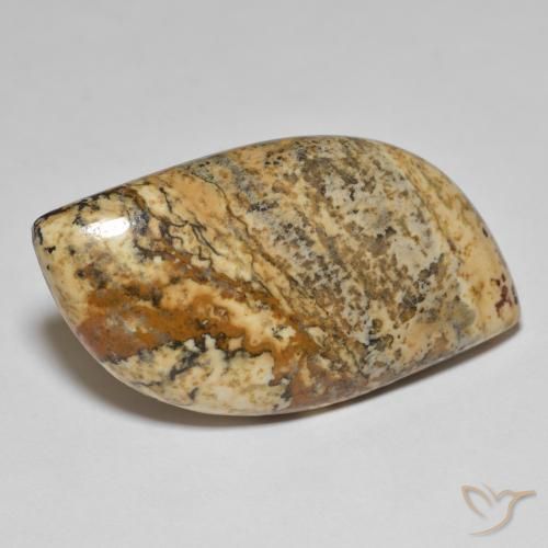 35.50 ct Multicolor Jasper Stone, Natural Jasper in Fancy Cabochon Shape for Sale
