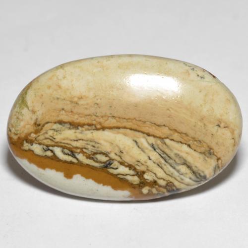 Multicolor Jasper Gem - 19.2ct Oval Cabochon (ID: 600697)