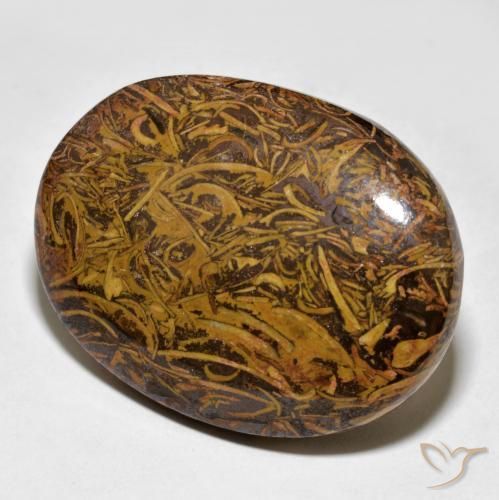 62.43ct Natural Multicolor Jasper, Oval, Opaque