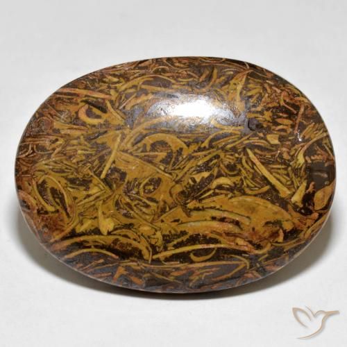 62.43 ct Multicolor Jasper Stone, Natural Jasper in Oval Cabochon Shape for Sale