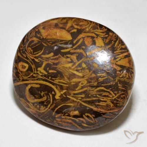 57.64ct Natural Medium-Dark Brown Jasper, Oval, Opaque 57.64ct Natural Medium-Dark Brown Jasper, Oval, Opaque