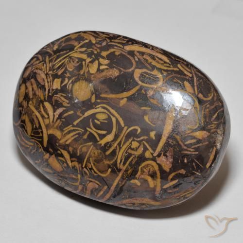75.13 ct Multicolor Jasper Stone, Natural Jasper in Oval Cabochon Shape for Sale