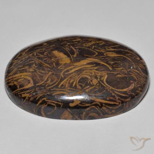 Jasper Gemstone in 36.3 x 29.1 mm Size for Sale, Jasper Stone in Multicolor Color
