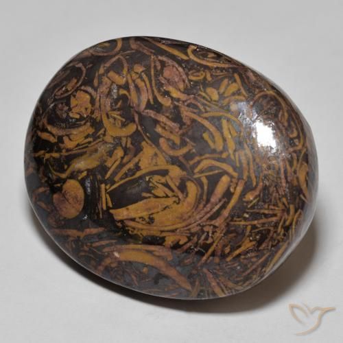 62.01 ct Multicolor Jasper Stone, Natural Jasper in Oval Cabochon Shape for Sale