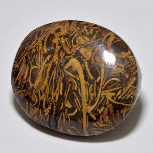 47.66 ct Multicolor Jasper Stone, Natural Jasper in Oval Cabochon Shape for Sale