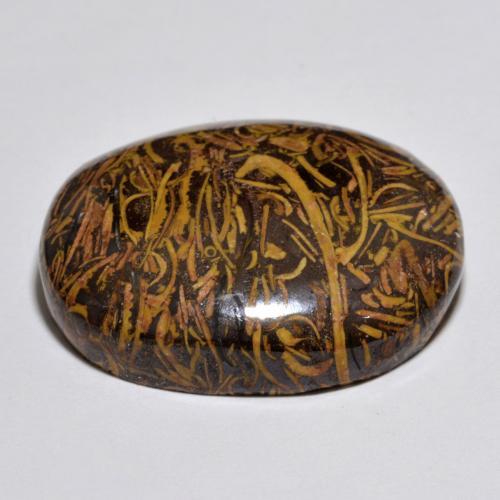 Jasper Gemstone in 27.7 x 23.3 mm Size for Sale, Jasper Stone in Multicolor Color