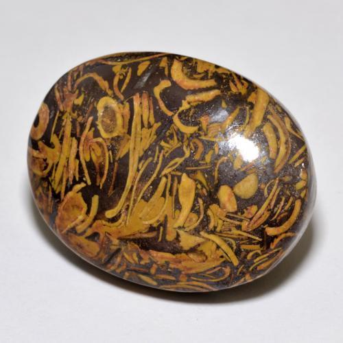 37.59 ct Multicolor Jasper Gemstone, Jasper Gem in Oval Cabochon Shape for Sale.
