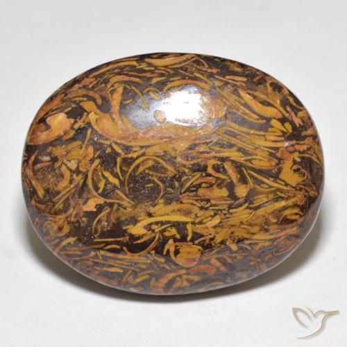 48.67ct Natural Multicolor Jasper, Oval, Opaque