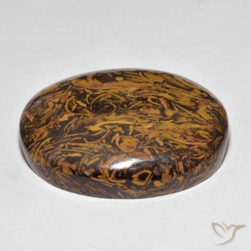 Jasper Gemstone in 29.3 x 23.5 mm Size for Sale, Jasper Stone in Multicolor Color