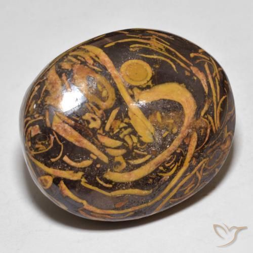 48.68 ct Multicolor Jasper Stone, Natural Jasper in Oval Cabochon Shape for Sale