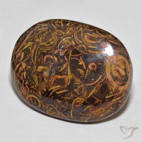 61.30 ct Multicolor Jasper Stone, Natural Jasper in Oval Cabochon Shape for Sale