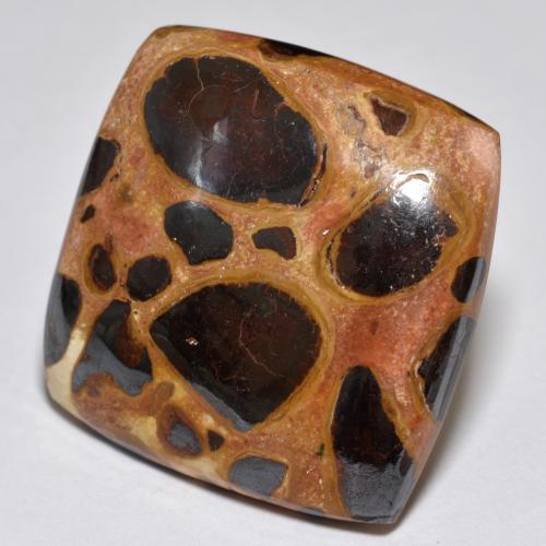 Multicolor Jasper Gem - 23.2ct Cushion Cabochon (ID: 609289)