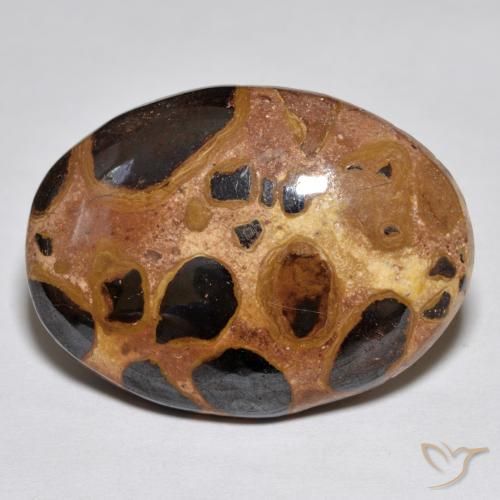 17.02ct Natural Multicolor Jasper, Oval, Opaque