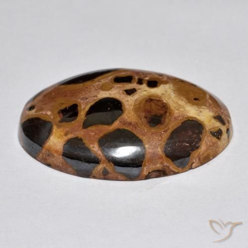 Jasper Gemstone in 24.4 x 19.8 mm Size for Sale, Jasper Stone in Multicolor Color