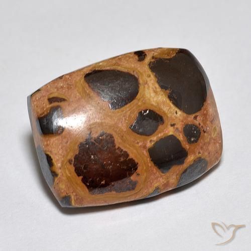 9.85 ct Multicolor Jasper Stone, Natural Jasper in Cushion Cabochon Shape for Sale