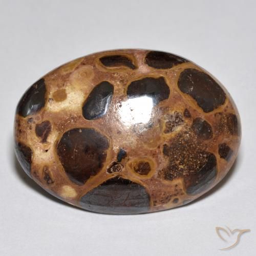 15.52ct Natural Multicolor Jasper, Oval, Opaque