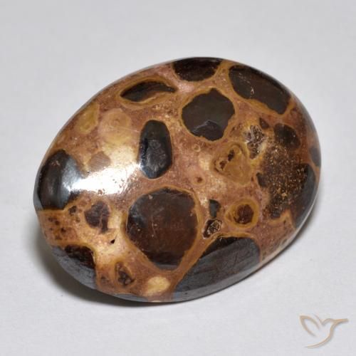 15.52 ct Multicolor Jasper Stone, Natural Jasper in Oval Cabochon Shape for Sale