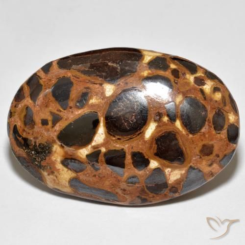 24.47ct Natural Multicolor Jasper, Oval, Opaque