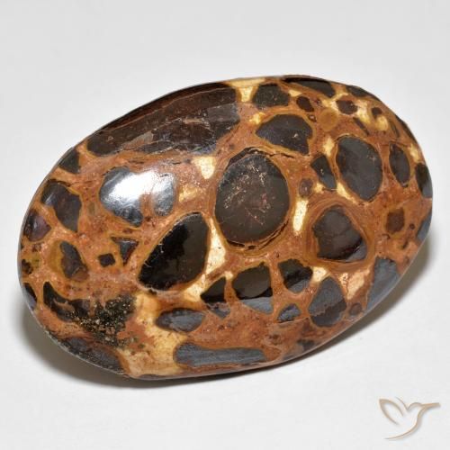 24.47 ct Multicolor Jasper Stone, Natural Jasper in Oval Cabochon Shape for Sale