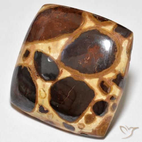 27.48 ct Multicolor Jasper Stone, Natural Jasper in Cushion Cabochon Shape for Sale