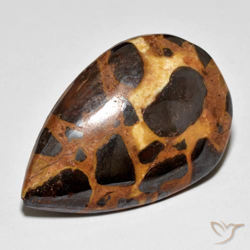 19.86 ct Multicolor Jasper Stone, Natural Jasper in Pear Cabochon Shape for Sale