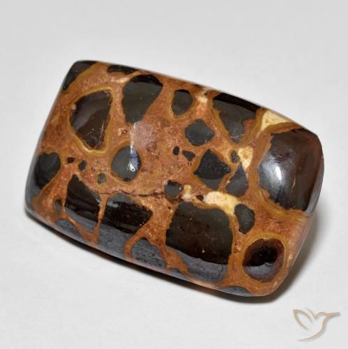 20.40 ct Multicolor Jasper Stone, Natural Jasper in Cushion Cabochon Shape for Sale