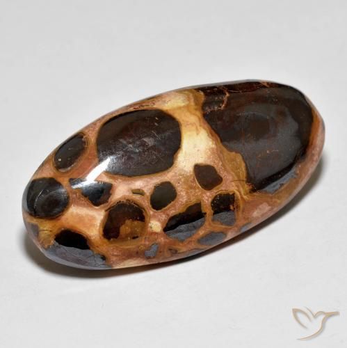 19.60 ct Multicolor Jasper Stone, Natural Jasper in Oval Cabochon Shape for Sale