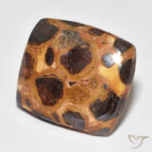 12.18ct Natural Multicolor Jasper, Cushion, Opaque