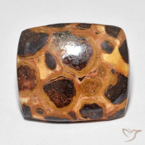 12.18 ct Multicolor Jasper Stone, Natural Jasper in Cushion Cabochon Shape for Sale