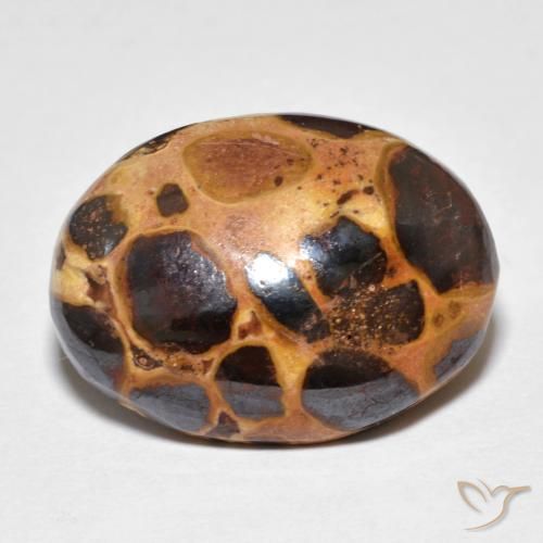 14.82ct Natural Multicolor Jasper, Oval, Opaque