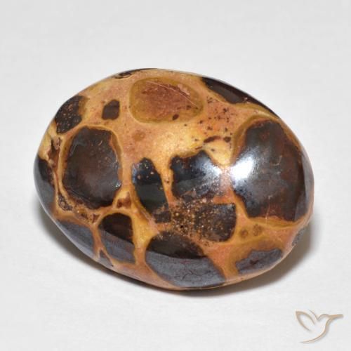 14.82 ct Multicolor Jasper Stone, Natural Jasper in Oval Cabochon Shape for Sale