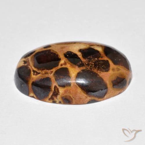 Jasper Gemstone in 21 x 15.5 mm Size for Sale, Jasper Stone in Multicolor Color