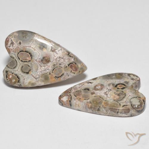 16.26 ctw Multicolor Jasper Stones, Natural Jasper in Heart Cabochon Shape for Sale