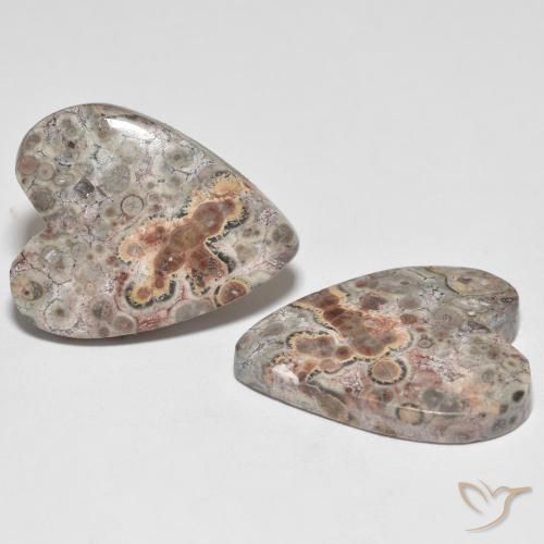22.13 ctw Multicolor Jasper Stones, Natural Jasper in Heart Cabochon Shape for Sale