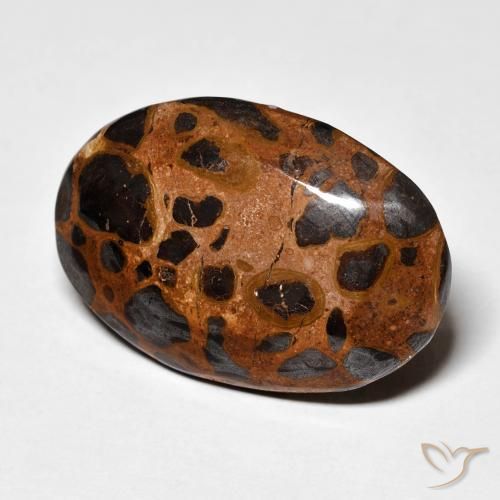 21.84 ct Multicolor Jasper Stone, Natural Jasper in Oval Cabochon Shape for Sale