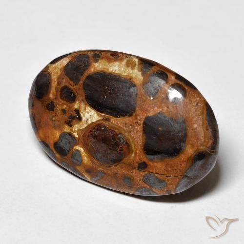 19.43 ct Multicolor Jasper Stone, Natural Jasper in Oval Cabochon Shape for Sale