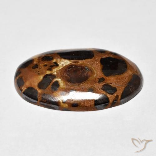 Jasper Gemstone in 27.5 x 18.3 mm Size for Sale, Jasper Stone in Multicolor Color