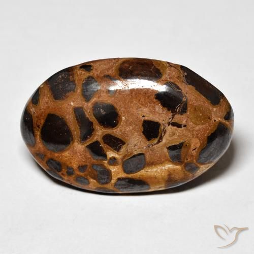 20.50ct Natural Multicolor Jasper, Oval, Opaque, Photo A
