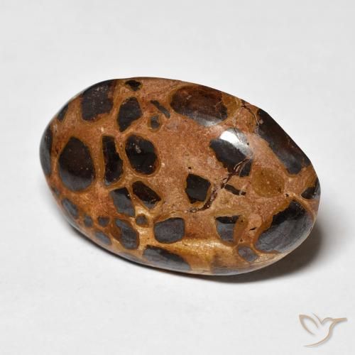 20.50 ct Multicolor Jasper Stone, Natural Jasper in Oval Cabochon Shape for Sale