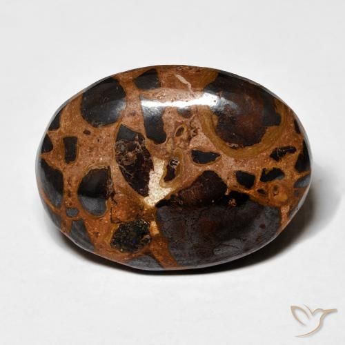 19.16ct Natural Multicolor Jasper, Oval, Opaque
