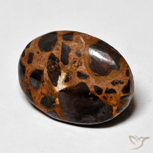 19.16 ct Multicolor Jasper Stone, Natural Jasper in Oval Cabochon Shape for Sale