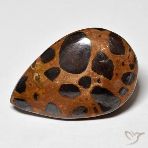 24.78ct Natural Multicolor Jasper, Pear Shape, Opaque