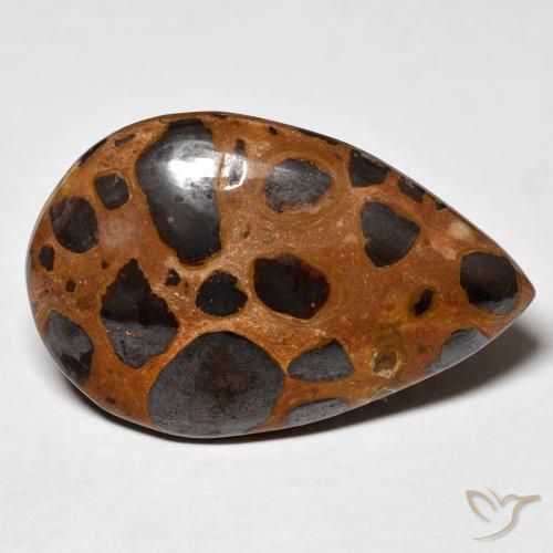 24.78 ct Multicolor Jasper Stone, Natural Jasper in Pear Cabochon Shape for Sale