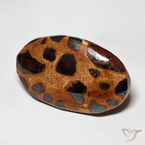 15.06 ct Multicolor Jasper Stone, Natural Jasper in Oval Cabochon Shape for Sale