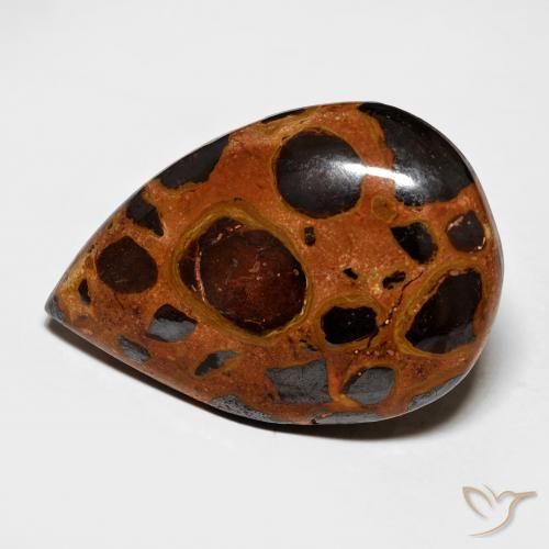 15.69ct Natural Multicolor Jasper, Pear Shape, Opaque