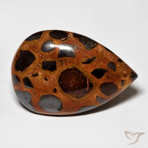 15.69 ct Multicolor Jasper Stone, Natural Jasper in Pear Cabochon Shape for Sale